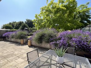 Photo 18- click for photo gallery